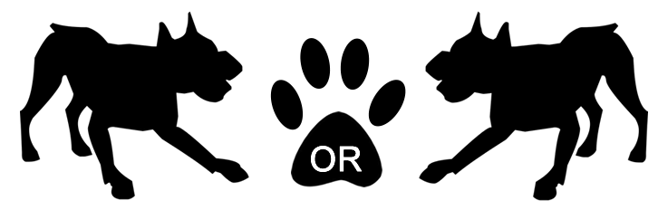 Dog or Dog
