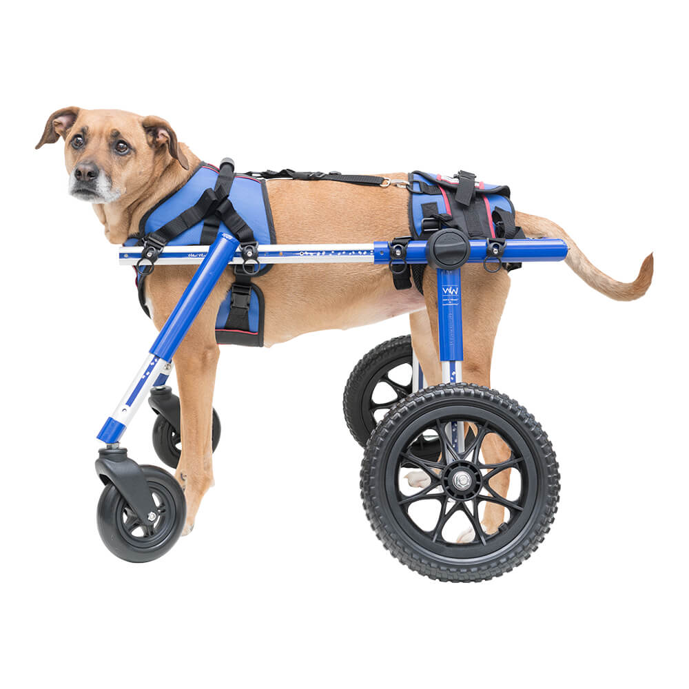 doggie wheelchair for small dogs
