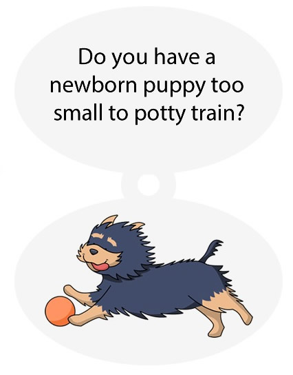 Dog Diapers for Potty Training