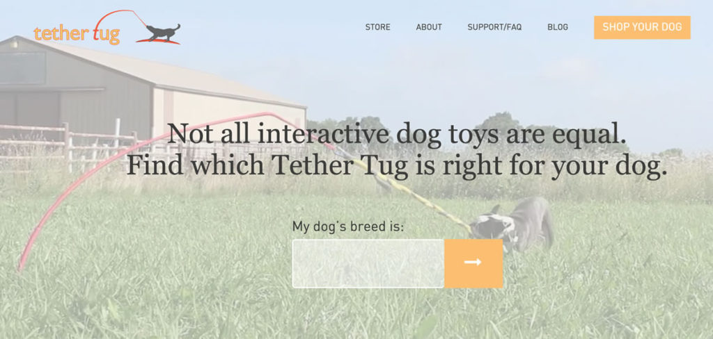 tether tug review