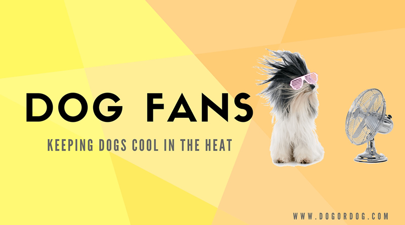 dog bladeless fans