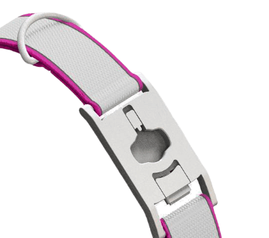 Embrace Pet Insurance Quote