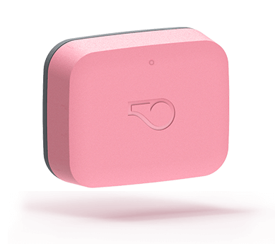 Embrace Pet Insurance Quote