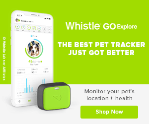 buy whistle GPS tarcker buy whistle GPS tarcker
