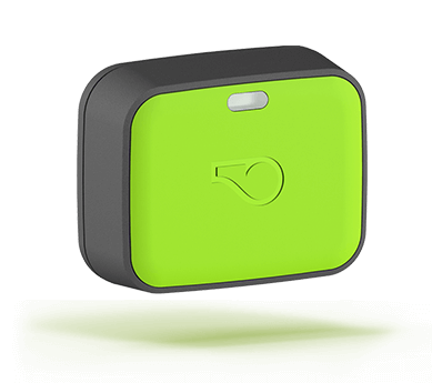 Embrace Pet Insurance Quote