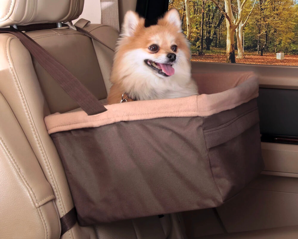 Embrace Pet Insurance Quote