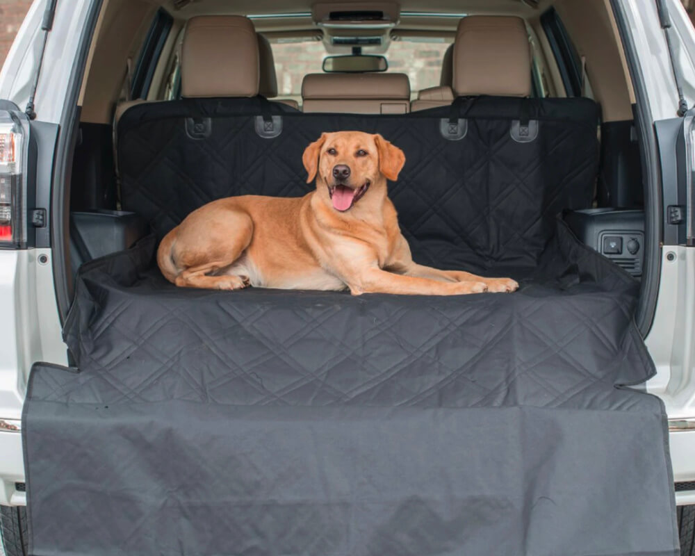 Embrace Pet Insurance Quote