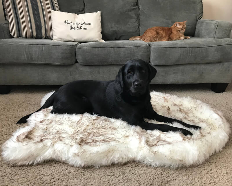 PupRug Faux Fur Orthopedic Dog Bed Curve White