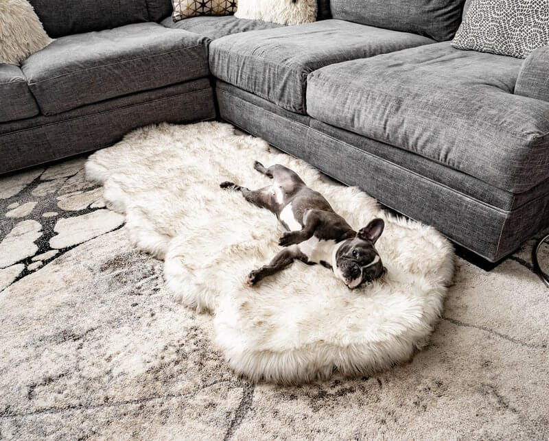 PupRug Runner Faux Fur Memory Foam Bed - Curve