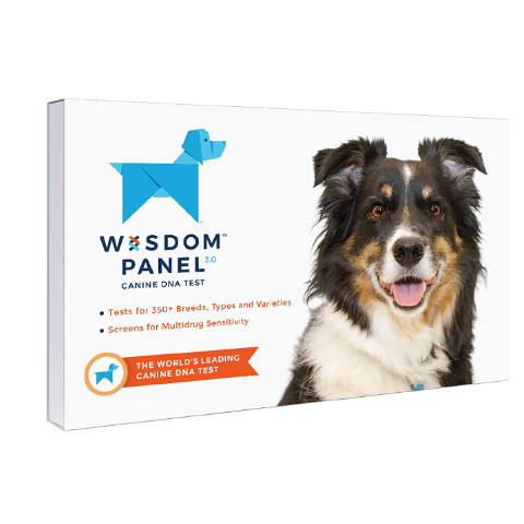 Embrace Pet Insurance Quote