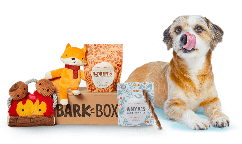 barkbox gift barkbox gift