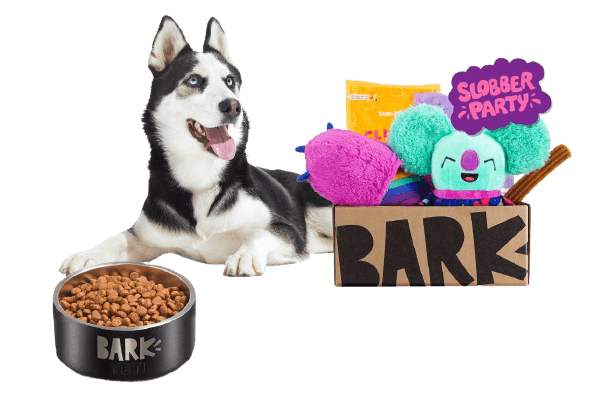 barkbox review barkbox review