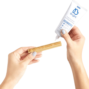 best dog tooth paste