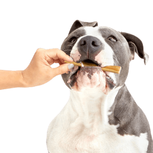 dog chew stick toothbrush