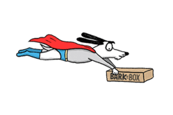 how barkbox works