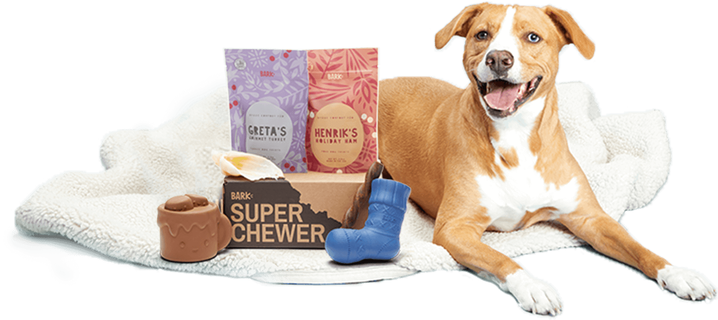 super chewer gift super chewer gift