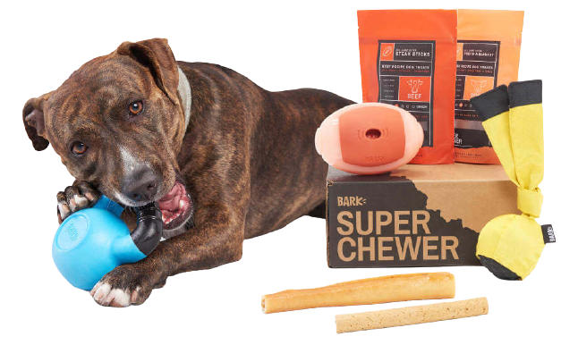 super chewer barkbox super chewer barkbox