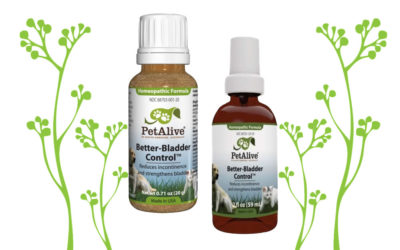 Better Bladder Control™ for Pet Incontinence Symptoms – Product Review