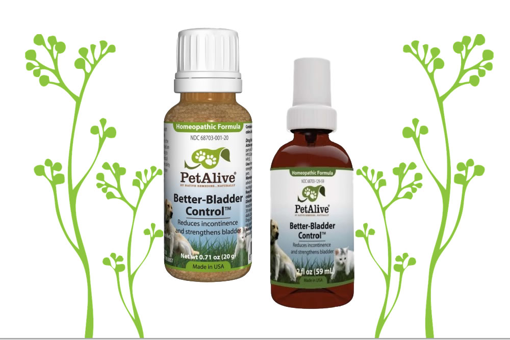 Better Bladder Control™ for Pet Incontinence Symptoms – Product Review