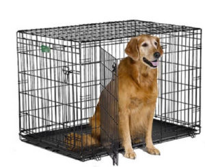 Midwest dog crate