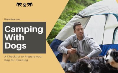 The Ultimate Guide to Camping With Dogs