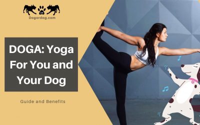 DOGA: Yoga For You and Your Dog – Guide and Benefits